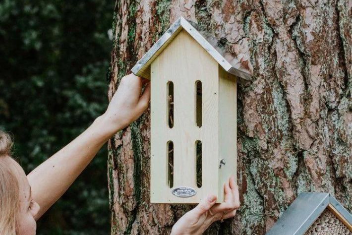 DIY: maak een vetbol in een leuke vorm