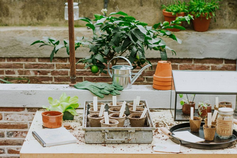 Préparez votre jardin pour le printemps&nbsp;