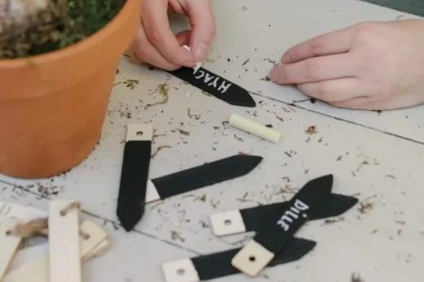 DIY&nbsp;: Étiquettes de jardin «&nbsp;dip dye&nbsp;»