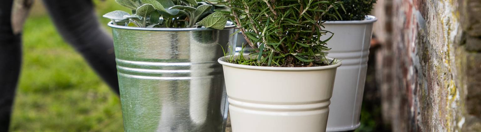Pots de fleur, zinc