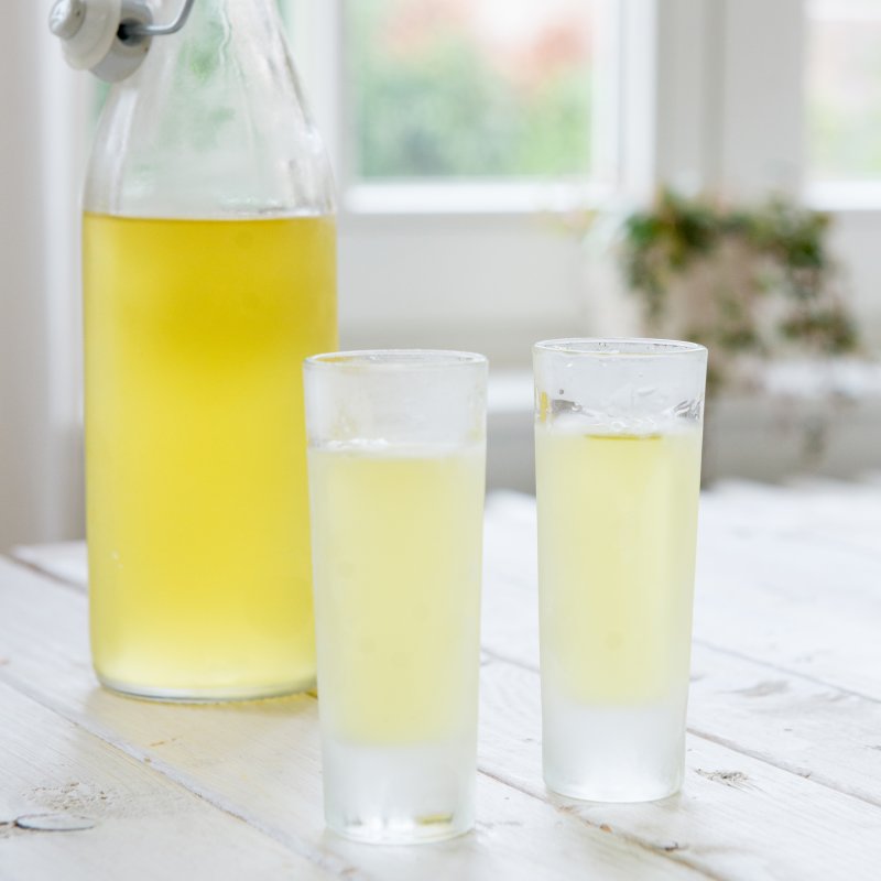 Fluisteren Terugroepen Psychologisch Limoncello